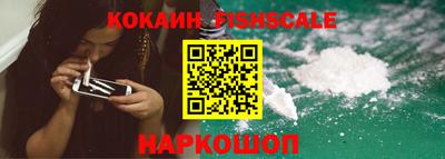 PSILOCYBIN Нальчик