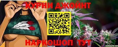 гашик Обнинск