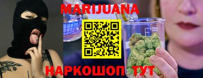 крисы Новозыбков