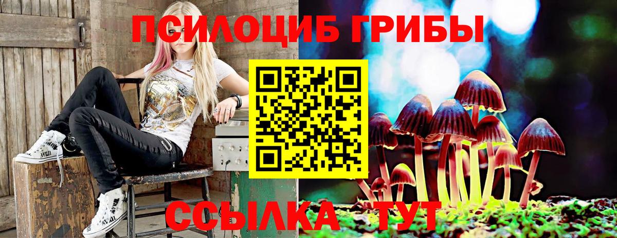 Псилоцибиновые грибы прущие грибы  Вход с VPN  Галлюциногенные грибы Cubensis  Унеча 