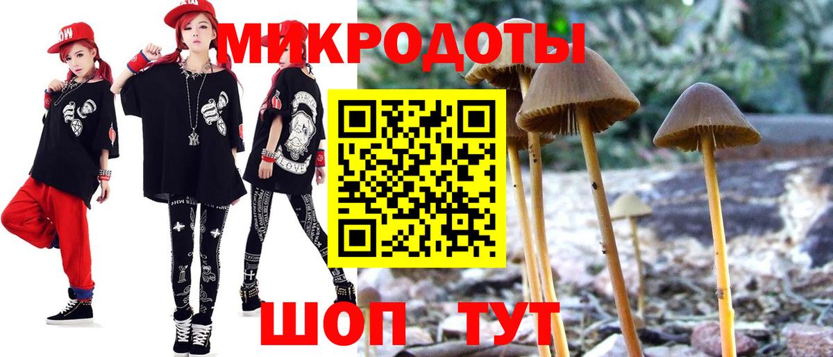 Галлюциногенные грибы мухоморы Унеча