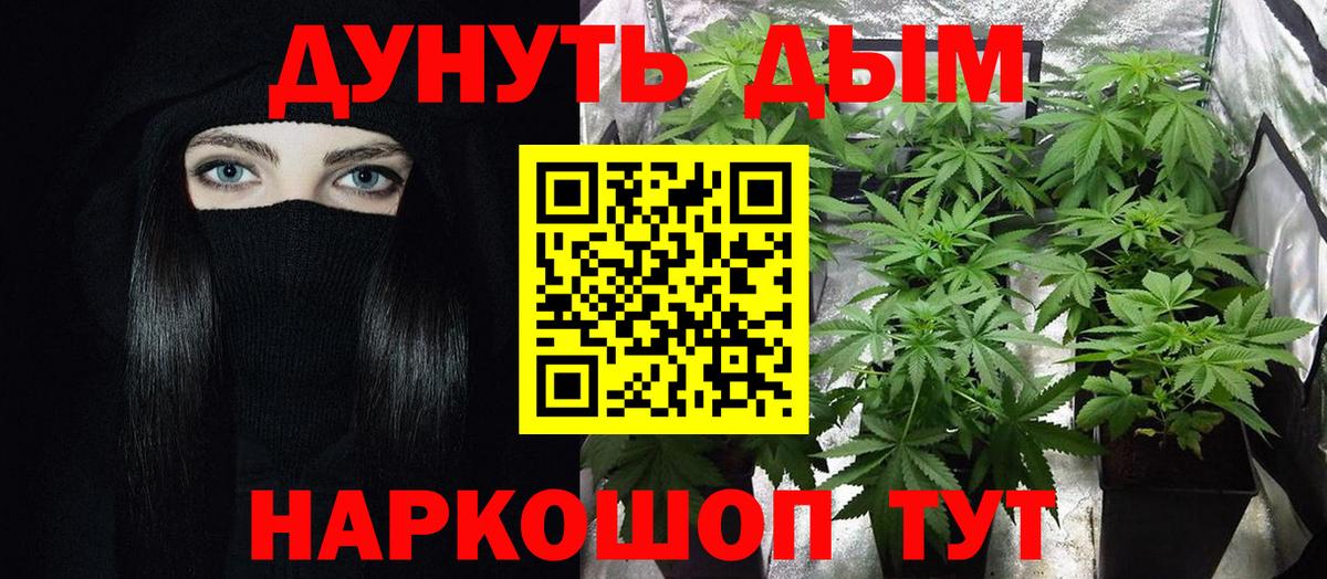 Шишки марихуана сатива  Вход с VPN  Марихуана Ganja  Шишки марихуана сатива  Унеча 